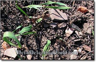 Pottery Fragments Scattered in Field