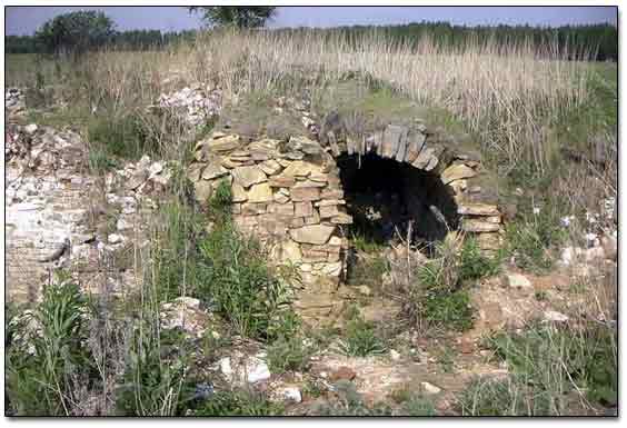 An Underground Root Cellar