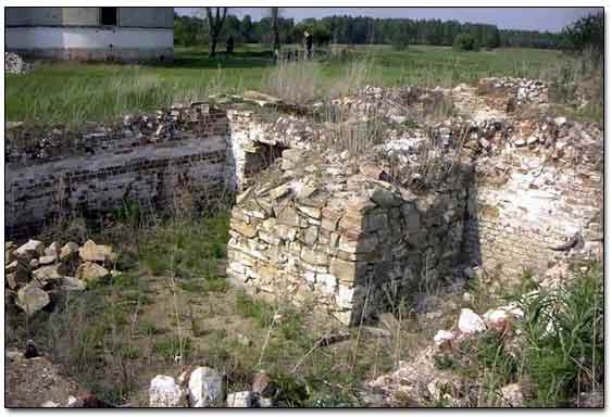 Large Foundation