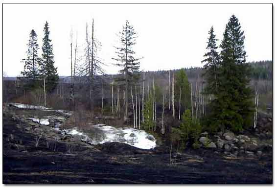 Early Spring in The Urals