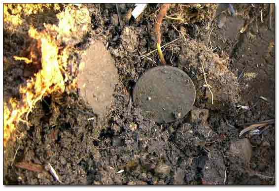 Large Copper Dug Out