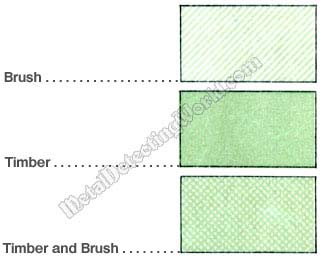 08 - Topographic Symbols of Ground Vegetative Cover