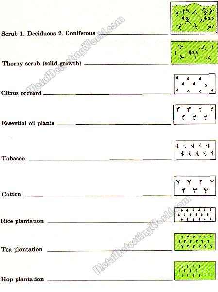 Topographic Symbols of Vegetation-44