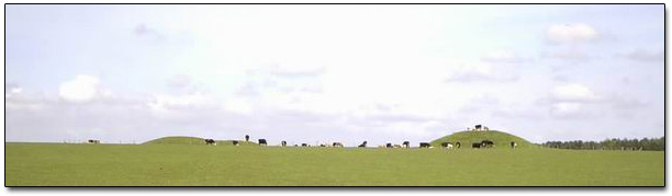 Ancient Burials in The Field