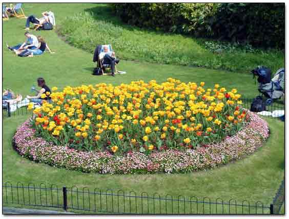 Beautiful Flower Bed