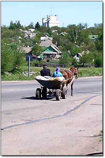 Animal-drawn Wagon in Use