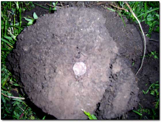 Oval-Shaped Coin Dug Up