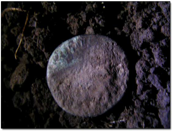 Roman Bronze Coin