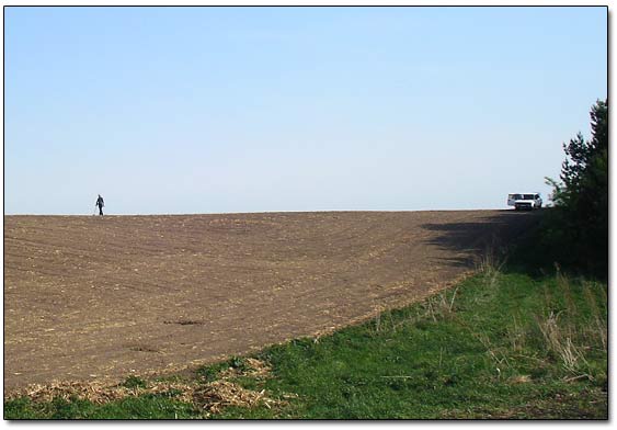 Metal Detecting in Field