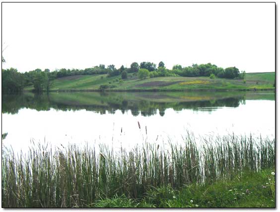 Domantovka River