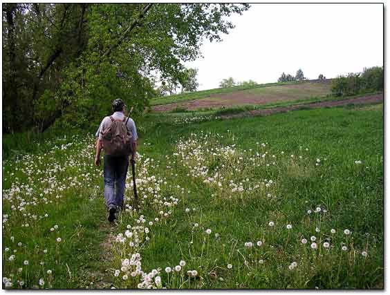 Hiking to the Site