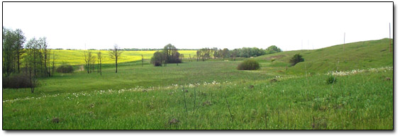 Site of Ancient Settlement