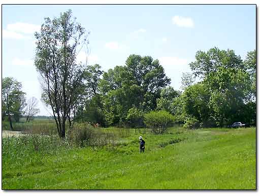 Metal Detecting Site