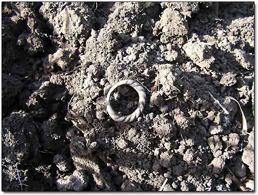 Metal Detecting Kievan Rus Silver Ring