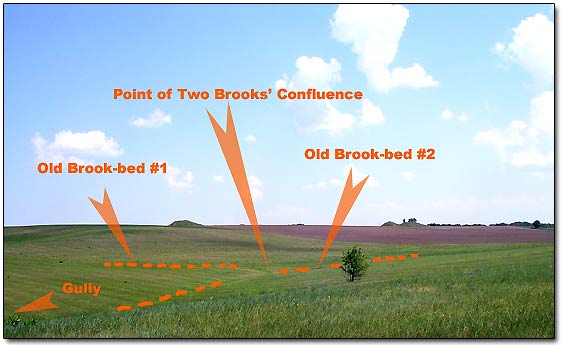 Metal Detecting Spot on Terrain