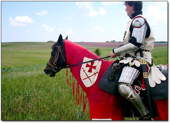Medieval Knight Errant