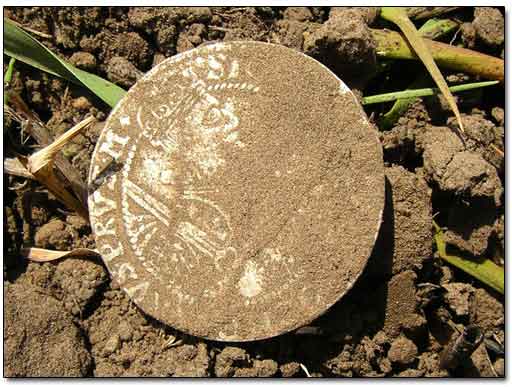 Large Medieval Silver Coin