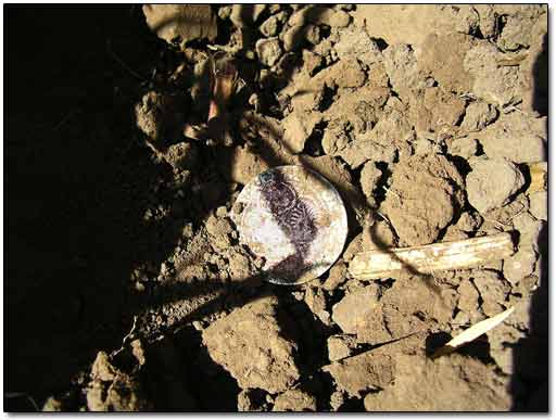 Medieval Silver Coin Found