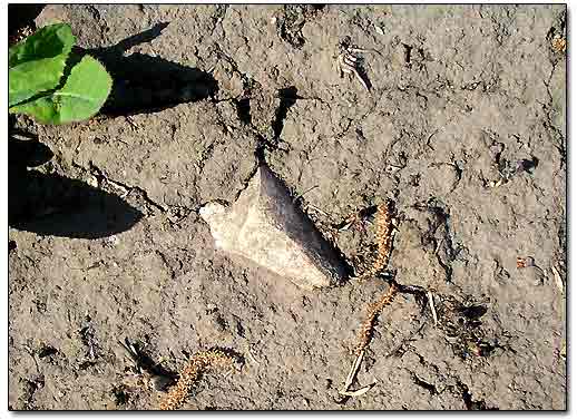 Ancient Ceramics on the Ground