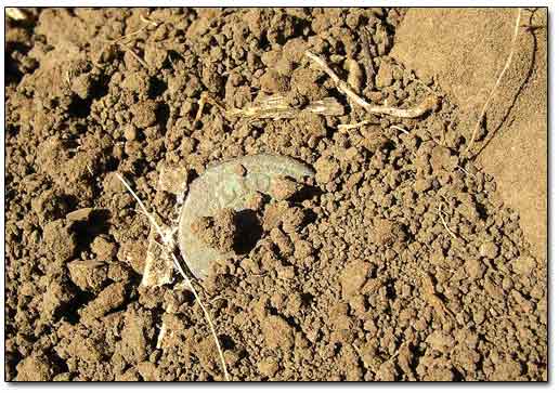 Medieval Copper Coin Found