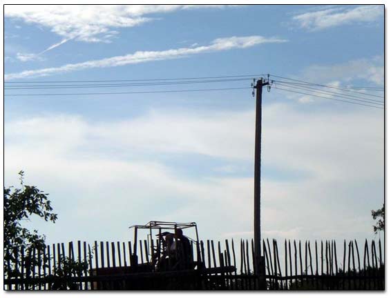 Looking Over The Stake Fence