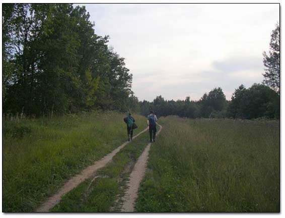 Walking A Trail To the Location