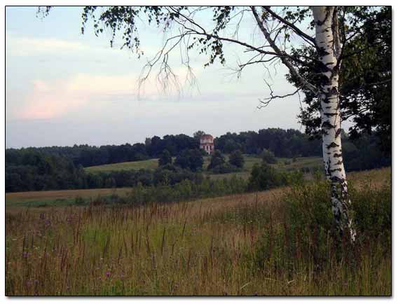 Ruins Visible In A Distance