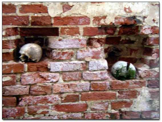 Dug Skulls In The Wall Holes