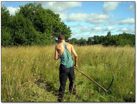 Andrei Using The Scythe