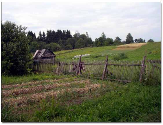 A Mass Grave On The Hilltop