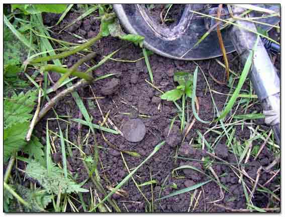 An Older Coin Dug