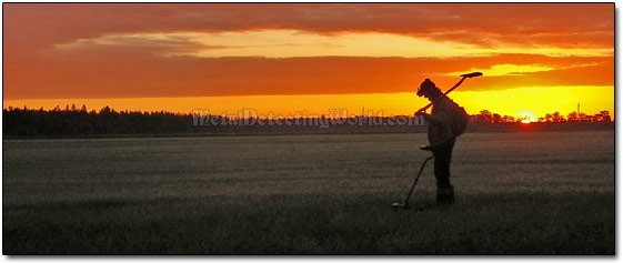 Field with Light Grass Cover