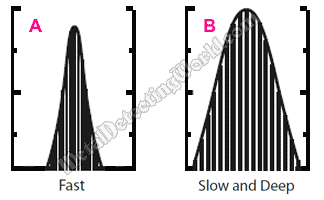 XP Deus Representative Curve Varieties