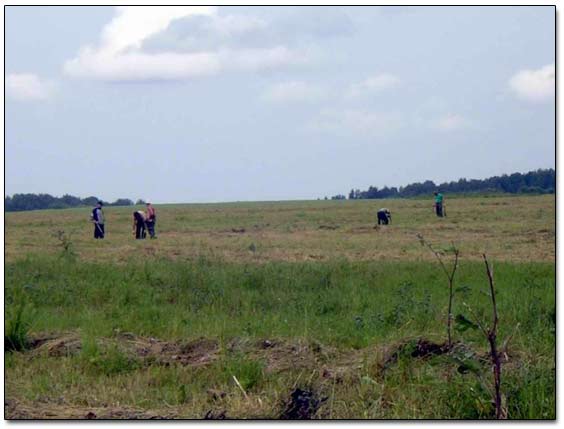 A Few Treasure Hunters Were Searching The Spot