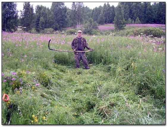 I am Preparing A Patch For Metal Detecting 