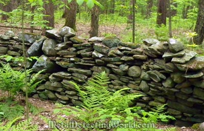 Stone Wall in the Woods, Montgomery County, New York