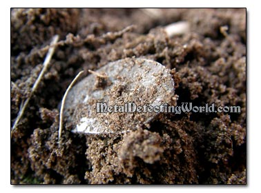Wire Money Silver Coin Lying on Surface
