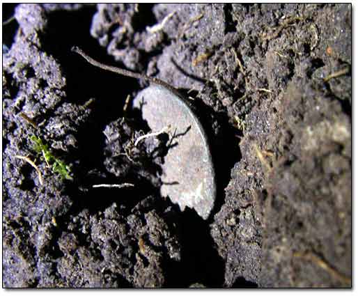 Bronze Coin of Oval Shape