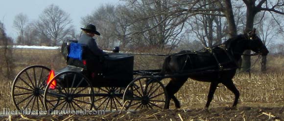 Amish Passing by in a Buggy